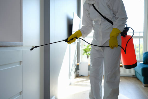 Mold Testing and Removal in Fort Smith, AR