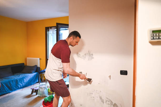 Best Local Mold Removal Service  in Fort Smith, AR